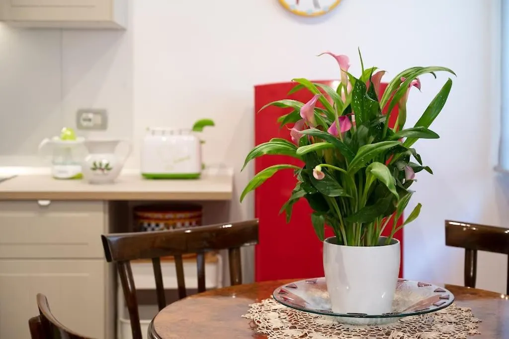 Casa Bouganville - St. Peter Romantic Apartment